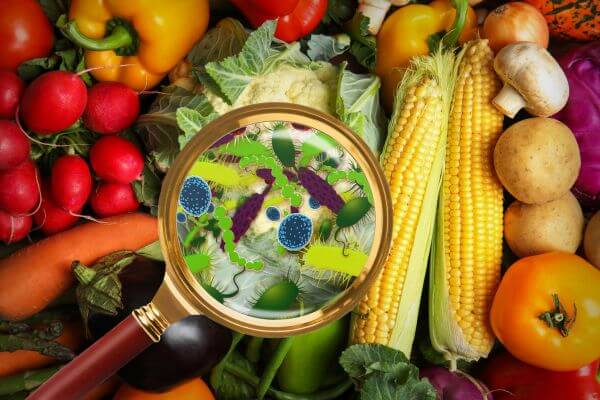 Alimentos transgênicos: A ciência por trás dos alimentos geneticamente modificados