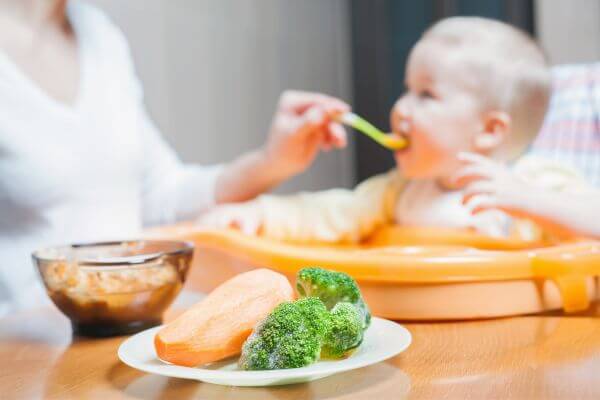Alimentação do Bebê Dicas Alimentação Saudável e Nutritiva